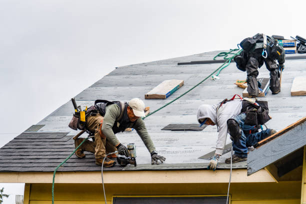 Professional Roofing technician working in Waterport, NY